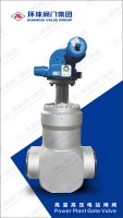 High-Temp&Pressure Powerstation Gate Valve