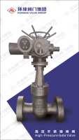 High Pressure Gate Valve With Pass Valve